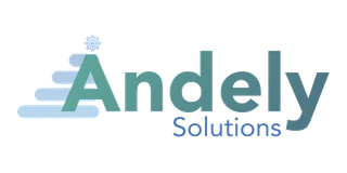 Logo Andely Solutions — cliente activo campañas Google Ads México